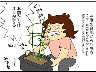 秋の収穫中間報告2026