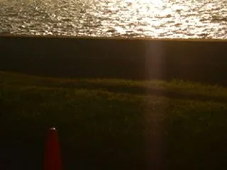 カぶり付かない日も在るのねぇ