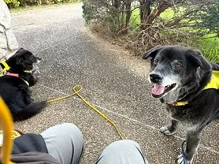 気を付けよう。通報しないでください。