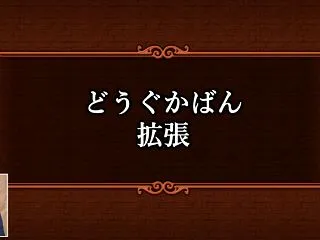 装備袋がもう限界！？ver8.1