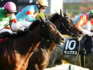 先週の結果 ベストミーエヴァー 東京 甲…