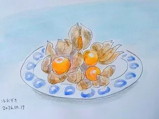 ホオズキです。