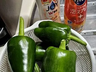 2026.10.19・・・家庭菜園の畑に…
