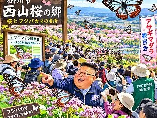 西山桜の郷の観察会