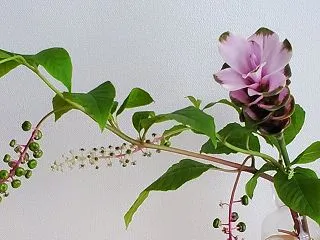 大人の距離感