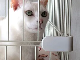 ずっと続くこの関係