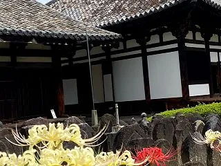 令和8.9.20. 元興寺（奈良市中院町…