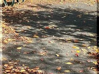 昼下がりの公園‥。