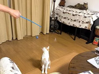 １０月１９日 まだまだ遊び盛り
