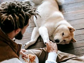 犬のフード計量カップとスケールの選び方｜…