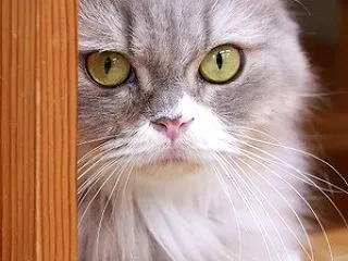 近況