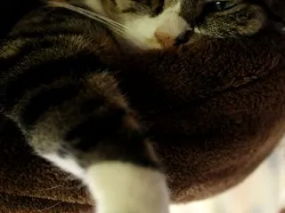 スナップショット。。 ・・・あるいはモブ…