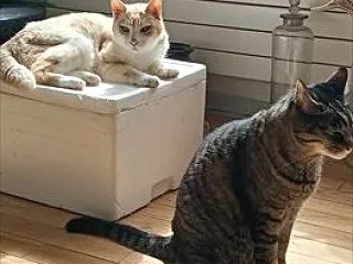 モリモリ食べてビシバシ 18