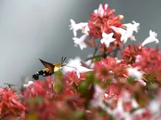 忙しそうに
