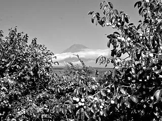 Monochrome_111