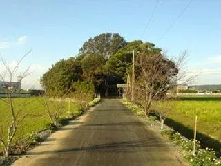 漂着した観音様を祀った 寄木神社 (静岡…