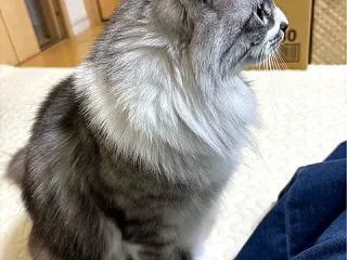 支度が整いました