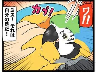 【miss!】ルリコンゴウインコの攻撃！…