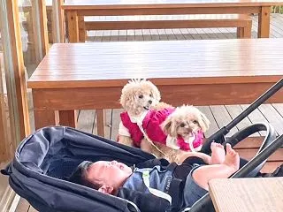 ♪フィリッポの幸せな食卓②