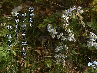 「寒くなったもんだ！」