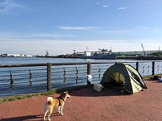 【コラム】最近のダウンと回復傾向