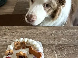 １４歳１か月のお祝いだね^m^