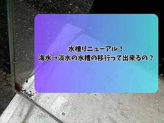 【実践中】海水水槽を淡水へ移行！頑固な石…