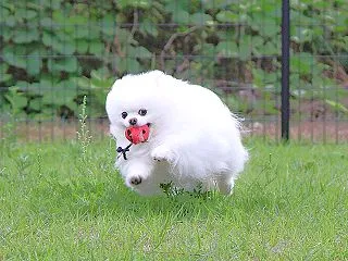 慣れてください