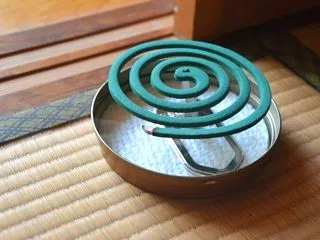 夏の忘れ物