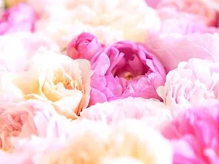 本来の私へ戻る♡「自分を感じる90秒ワー…