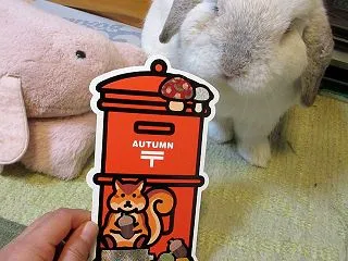 秋のお便り