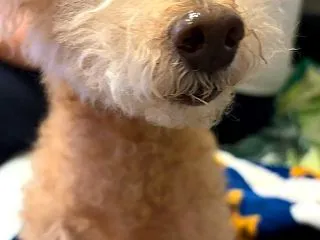 病院