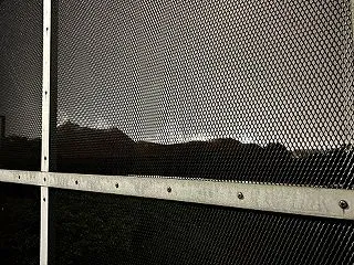 雨続きでモクモクです！