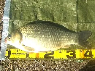 昨日の深場Pの釣りの検証？夕マズメ前でも…