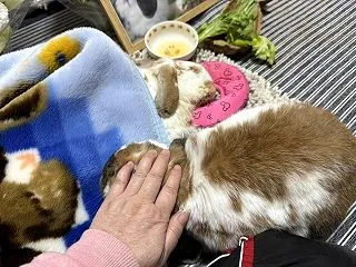 【閲覧注意】ちはやがいなくなって半年がた…