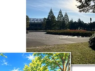 今の時期の朝活が 1番気持ち良いです^ …