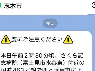 まさか！ うちの市に鹿が出現!?