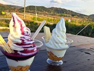 赤ブドウ 白ブドウ