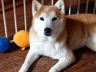 今週も始まちゃったね・・・
