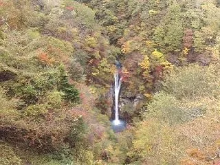 ★駒止の滝とつつじ吊り橋からの紅葉★