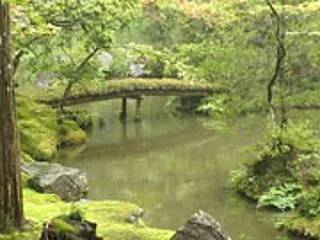 苔寺でコケたのが蘇る。