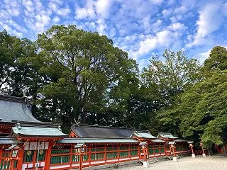 【世界遺産】美しい朱色の神社と弁慶伝説！…