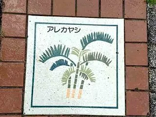 妄想 アレカヤシの歩道タイル アレカレシ