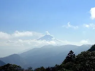 名無林 1