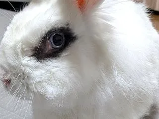 運動不足