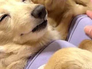 心から安心して