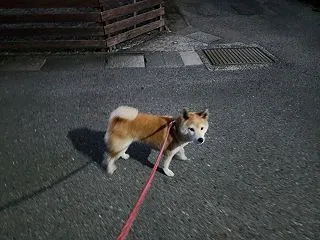 福岡県広川町H様住宅新築工事のシステムキ…