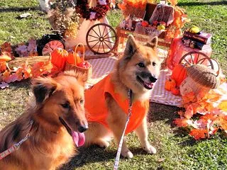 ハロウィンと マルシェで集う 子どもたち