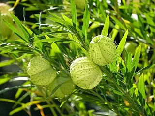いつまでも歩ける体を目指す、「超歩行」の…