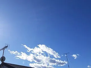 金運上昇